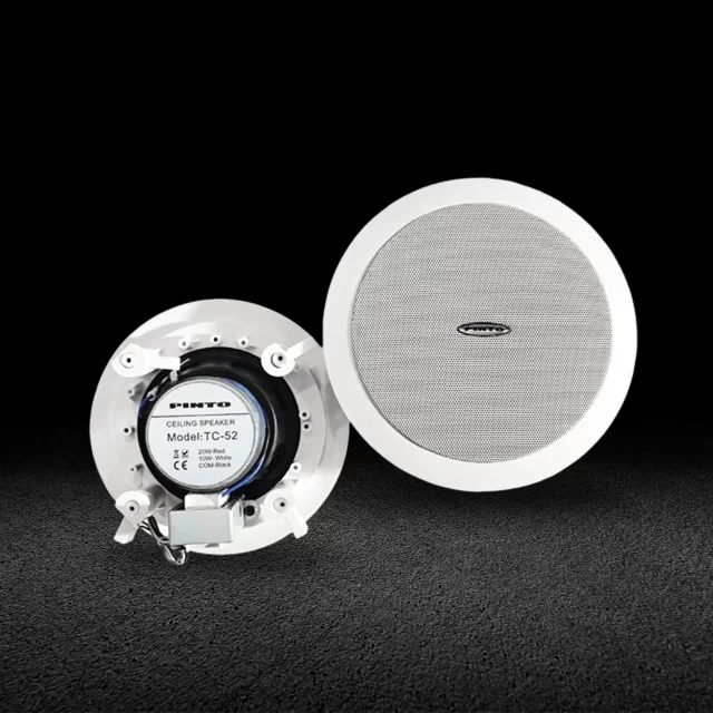 Ceiling Speakers